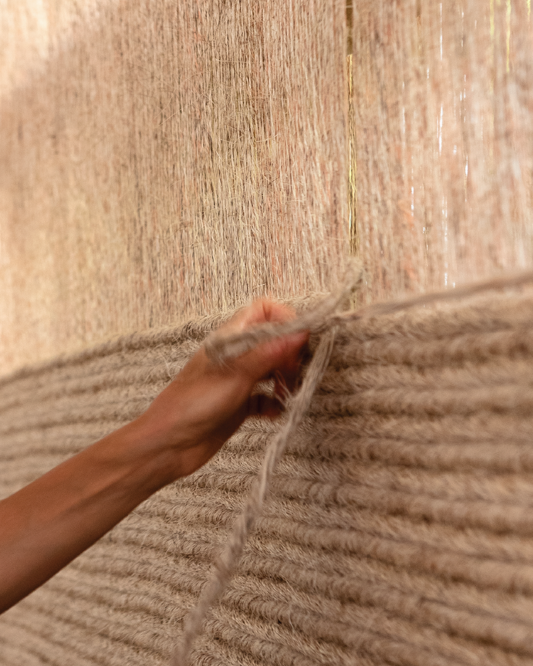 What Is Fique? Colombia's Most Versatile Natural Fiber