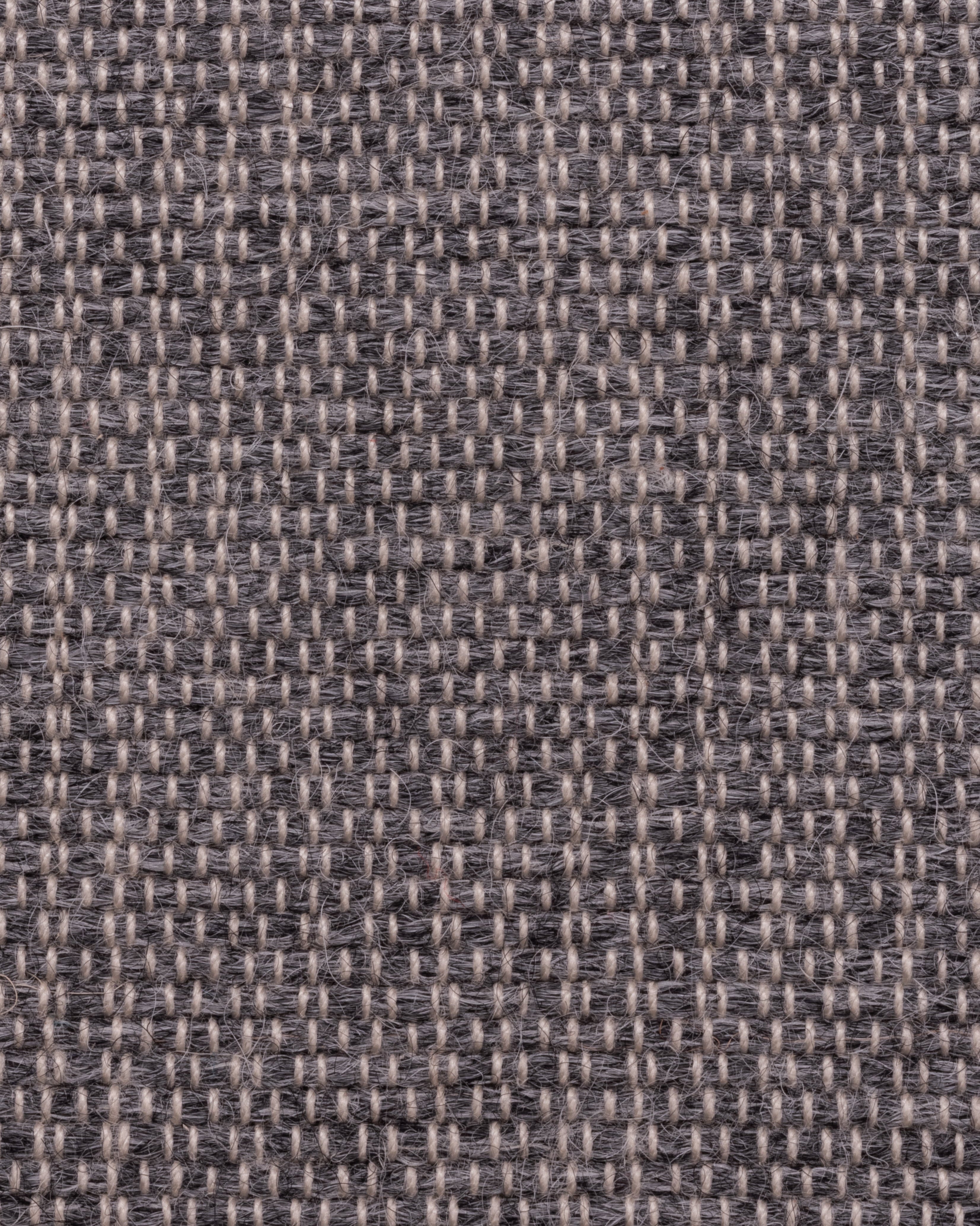 BLACK GRAY BABY ALPACA